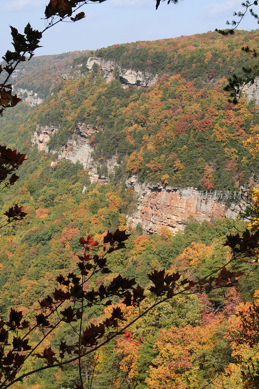 Clounland Canyon State Park佐治亚秋天的颜色